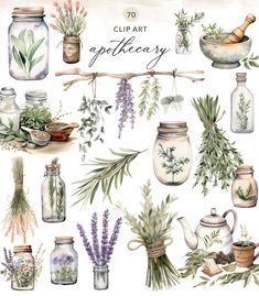 watercolor clipart with herbs and jars on the top, including lavenders, rosemary,