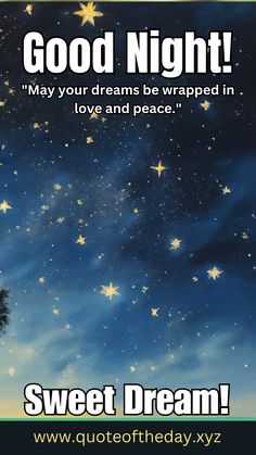 a night sky with stars and the words, good night may your dreams be wrapped in love and peace