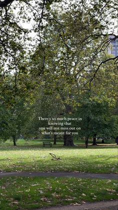 there is much peace in the park than sitting on a bench