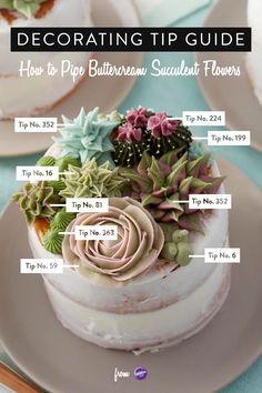 a white cake with succulents on top and the words decorating tip guide below