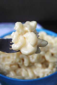 a fork full of macaroni and cheese in a blue bowl on a table