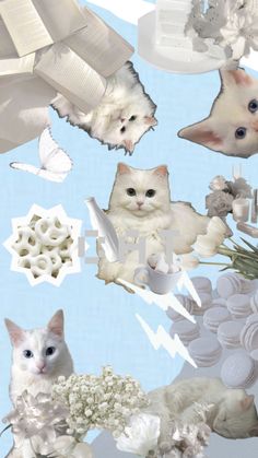 a collage of white cats and flowers on a blue background with butterflies in the sky