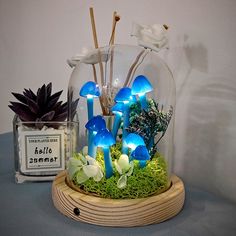 a group of blue mushrooms in a glass dome with moss and flowers on the base