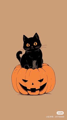 a black cat sitting on top of a pumpkin