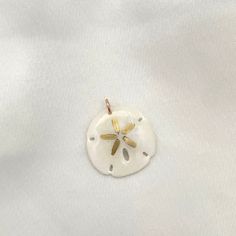 a white sand dollar sitting on top of a white cloth