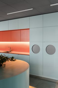 an office with pink and blue walls, round windows, and a plant in the center