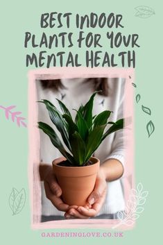 The best indoor plants for your mental health. 5 indoor plants which promote positive health and wellbeing in your home and life. #indoorplants #plants #houseplants #home #wellbeing #mentalhealth Home Doctor, Best Indoor Plants, Health Matters, Coping Skills, Mental Health Awareness, Health And Wellbeing