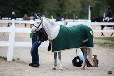 a woman standing next to a horse wearing a blanket