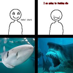 two pictures of sharks with captions that say, i am going to fishing die