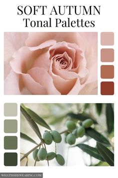 a pink rose with green leaves in the center and an image of soft autumn tonal palettes