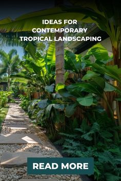 a garden with lots of plants and rocks on the ground that reads ideas for contemporary tropical landscaping read more