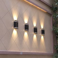 four lights are on the wall in front of a plant