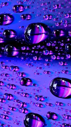 many drops of water on a purple surface