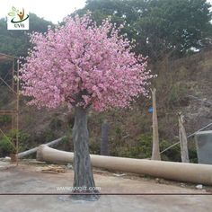 a small tree with pink flowers in the middle of a yard next to a large pipe