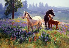 two horses and their foal in a field of wildflowers with the caption, claire goldrick, season of contentment