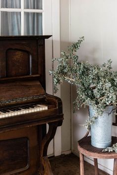 a potted plant sitting next to an old piano