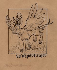 a drawing of an animal with wings and the words wolffingerer written in black ink