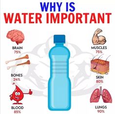 Why Is Water Important, Drink Water Quotes, Healthy Liver Diet, Healthy Food Chart, Water For Health, Water Quotes, Healthy Facts, Food Health Benefits, Health And Fitness Articles