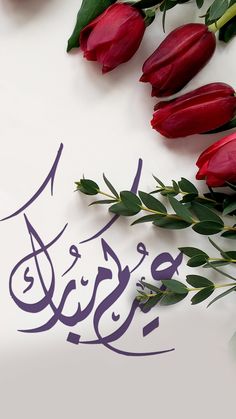 red roses and green leaves on a white surface with the word love written in arabic