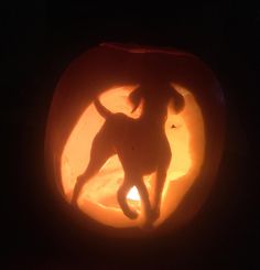 a dog carved into a pumpkin in the dark