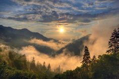 Top ten can’t-miss stops on the Smoky Mountains Road Trip National Parks Usa, Mountain Photography, Great Smoky Mountains National Park, Blue Ridge Parkway, East Tennessee, Smoky Mountain National Park, Appalachian Trail, Nature Trail, Great Smoky Mountains