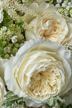 a bouquet of white flowers sitting on top of a table