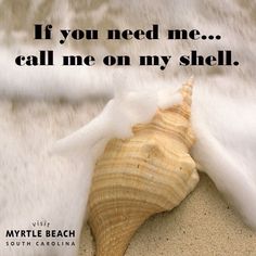 a seashell on the sand with a quote above it that reads, if you need me call me on my shell