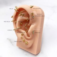 an ear with different types of piercings and names on the outside of it, sitting on a marble surface