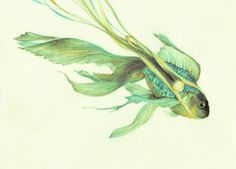 a drawing of a goldfish with long, green fins and yellow tailing tails