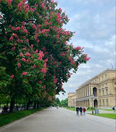 people walking down the street in front of a building and trees with pink flowers on it