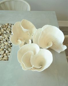 three white flowers sitting on top of a table next to some rocks and plants in the background