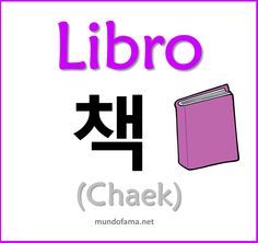 an image of a book with the word libro in english and chinese characters below it