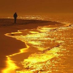 a person standing on the beach at sunset looking out over the water and towards the ocean