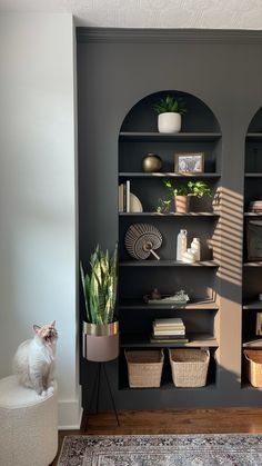 Arched builtins using Ikea billy bookcases and painted sherwin williams urbane bronze Ikea Entertainment Center, Ikea Billy Hack, Billy Ikea, Painting Ikea Furniture, Billy Bookcases, Ikea Built In, Billy Bookcase Hack, Ikea Billy Bookcase Hack, Ikea Bookcase