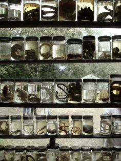 many jars are stacked on the wall and one person is looking at something in the distance