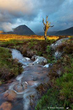 a stream running through a lush green field under a cloudy sky with mountains in the background