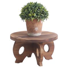 a potted plant sitting on top of a wooden stool