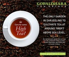 a cup of tea with the words high tea on it and an advertise