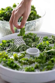 Kale Chips Dehydrator, Dehydrated Kale Chips, Kale Chip, Best Food Dehydrator, Homemade Kale Chips, Crunchy Garlic, Aip Snack, Excalibur Dehydrator, Whole30 Vegan