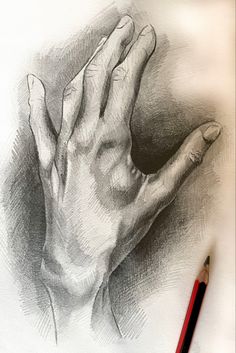 a pencil drawing of a hand holding something