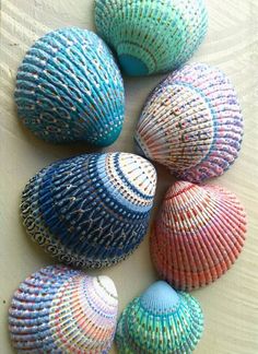 colorful sea shells are arranged on a white surface