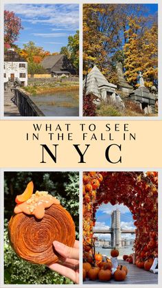 the cover of what to see in the fall ny c, with images of autumn trees and buildings