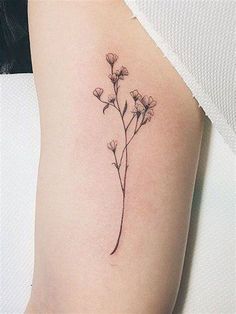 Small Delicate Flower Tattoos. There are any references about Small Delicate Flower Tattoos in here. you can look below. I hope this article about Small Delicate Flower Tattoos can be useful for you. Please remember that this article is for reference purposes only. #small #delicate #flower #tattoos Dainty Flower Tattoos, White Flower Tattoos, Tattoos Flowers, Delicate Flower Tattoo, Simple Flower Tattoo, Petit Tattoo, Flower Tattoo Drawings, Female Tattoos, Men Tattoos