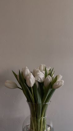 white tulips are in a clear vase on a wooden table against a gray wall