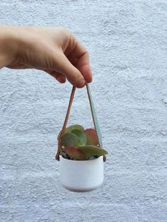 a hand holding a white hanging planter with succulents in it on a concrete wall