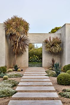 an entrance to a house with plants in the front yard and walkway between two walls