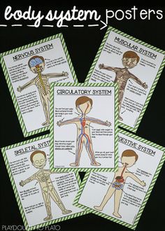 four posters showing the body system and their corresponding parts, with text that reads body system posters