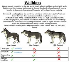 an info sheet describing how to use wolfdogs