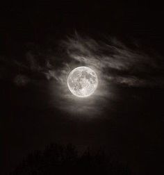 the full moon shines brightly in the dark sky above some trees and clouds on a cloudy night