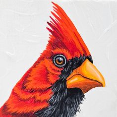 a painting of a red and black bird on a white background with the words,